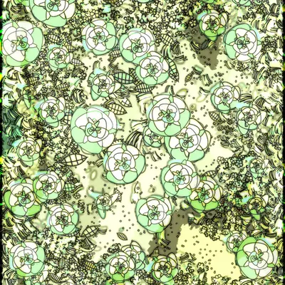 Flowers of Alfiren #77