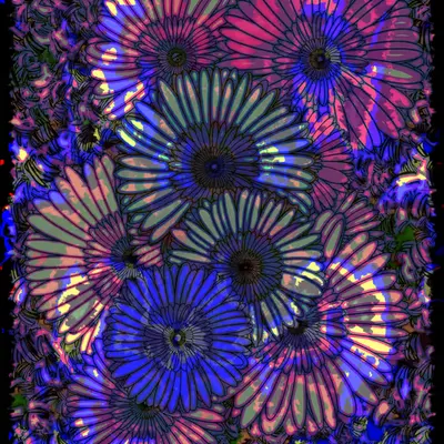 Flowers of Alfiren #79