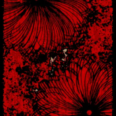 Flowers of Alfiren #8