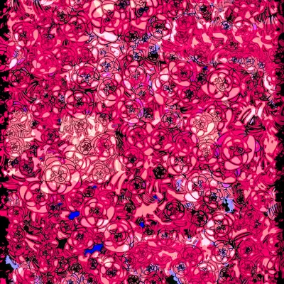Flowers of Alfiren #70