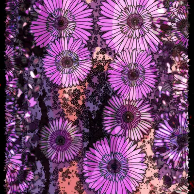Flowers of Alfiren #52