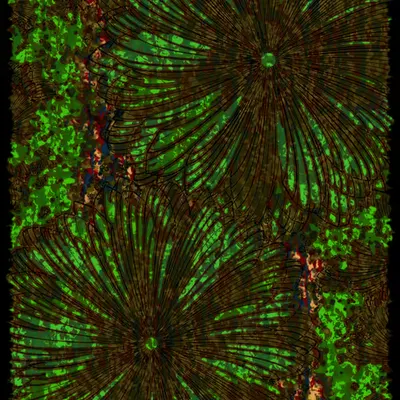 Flowers of Alfiren #3