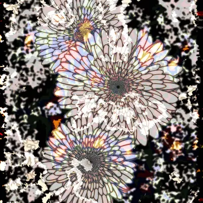 Flowers of Alfiren #57