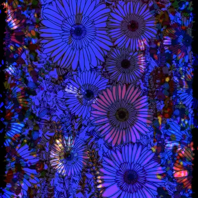 Flowers of Alfiren #73