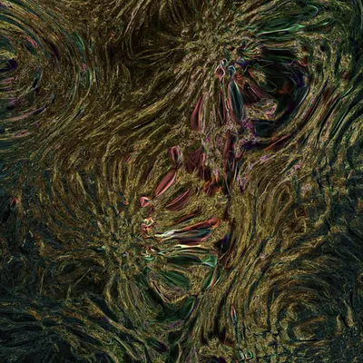 Midnight Elysium #33