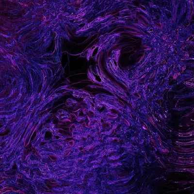 Midnight Elysium #6