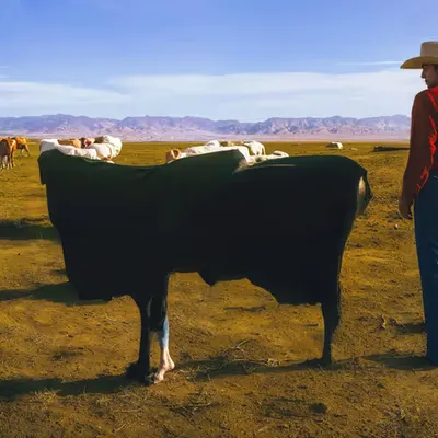 Certified Hereford Beef