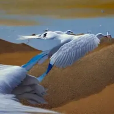Mechanical Dream Of Flight