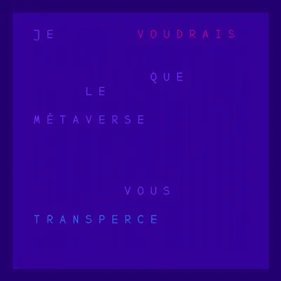 JE VOUDRAIS QUE LE MÉTAVERSE… 