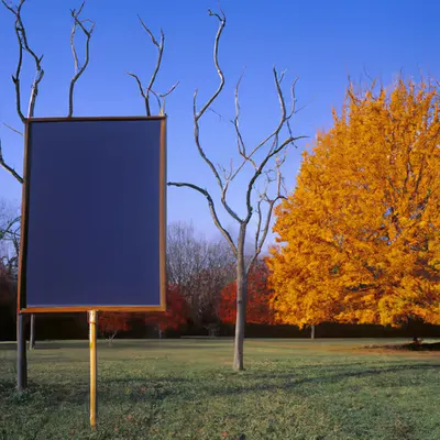 Automne #19