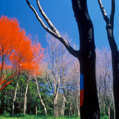 Printemps #75