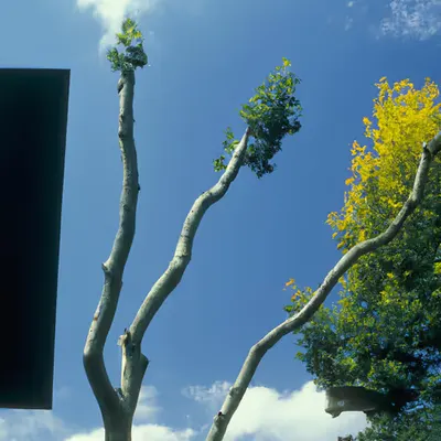 Été #24