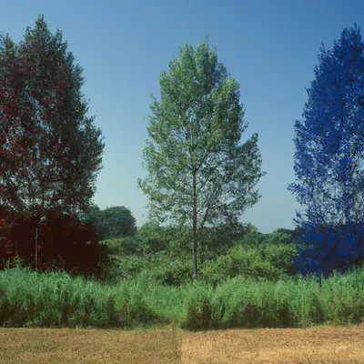 Été #26