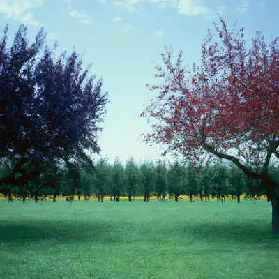 Été #57