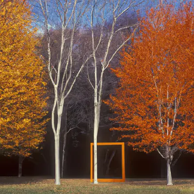 Automne #82
