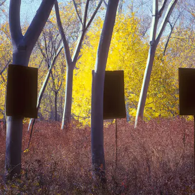 Automne #83