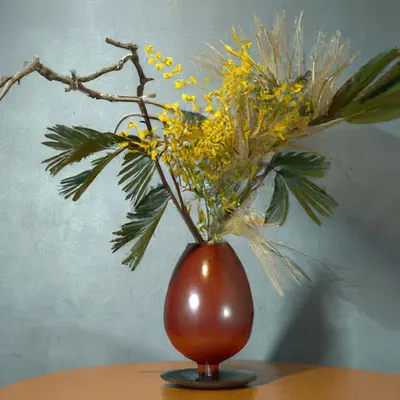 Mimosa
