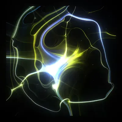 #81