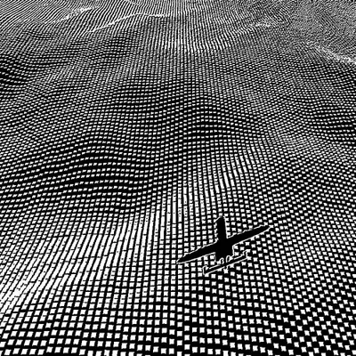 Endless Flight #18