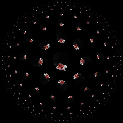 compusophlet
