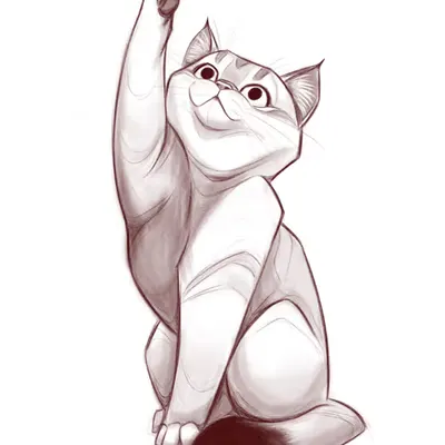 Kitteh