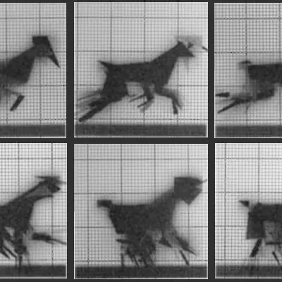 Chronophotograph 101