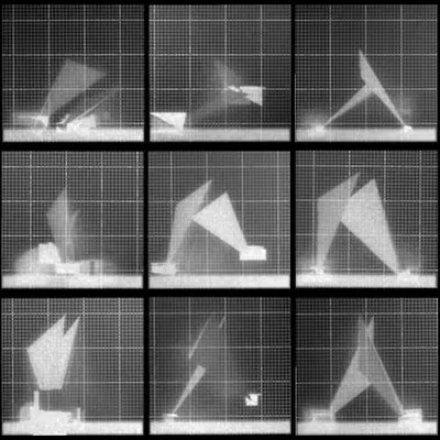 Chronophotograph 102