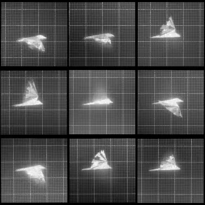 Chronophotograph 103