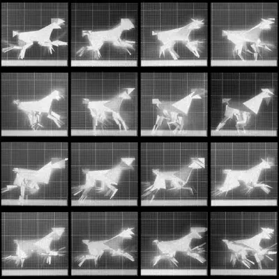 Chronophotograph 108