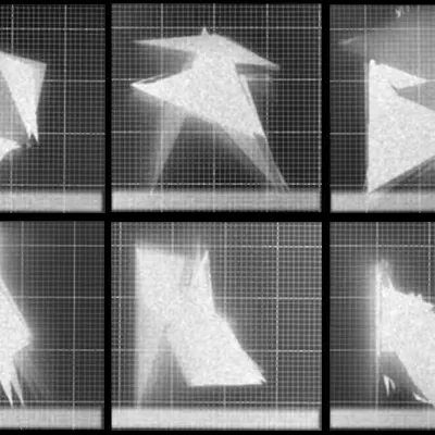 Chronophotograph 110