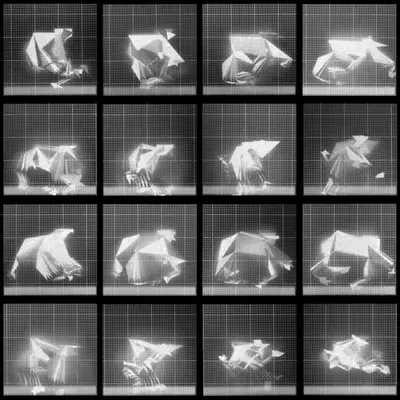 Chronophotograph 116