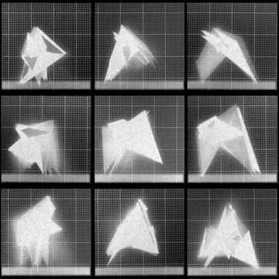 Chronophotograph 117