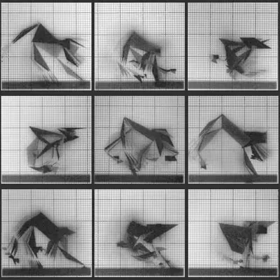 Chronophotograph 119