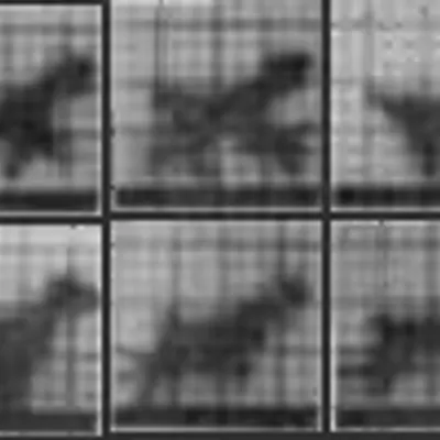 Chronophotograph 12