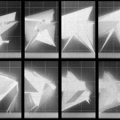 Chronophotograph 164