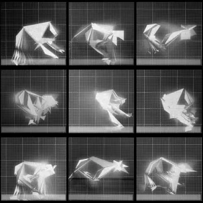 Chronophotograph 165