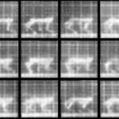 Chronophotograph 17