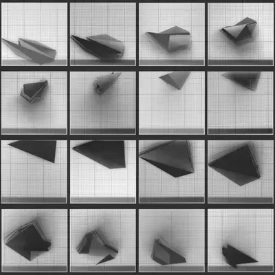 Chronophotograph 178