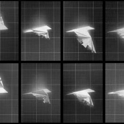 Chronophotograph 185