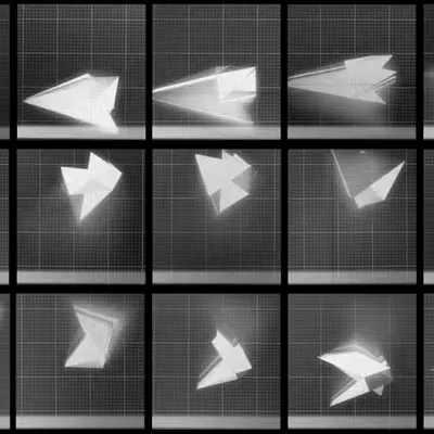 Chronophotograph 194