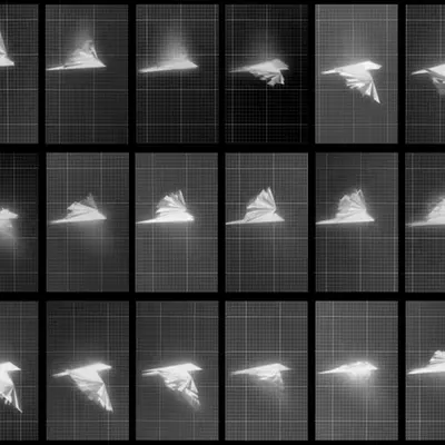 Chronophotograph 198