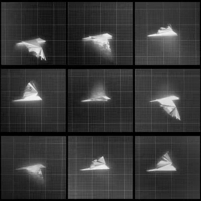 Chronophotograph 199