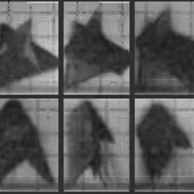 Chronophotograph 26