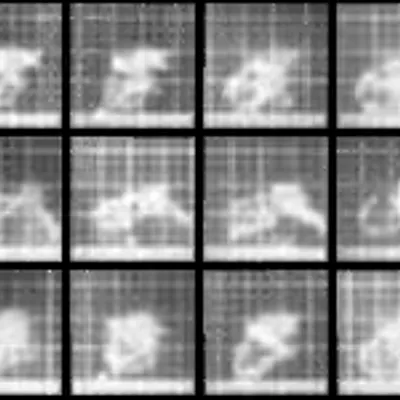 Chronophotograph 28