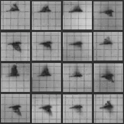 Chronophotograph 37
