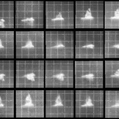 Chronophotograph 38