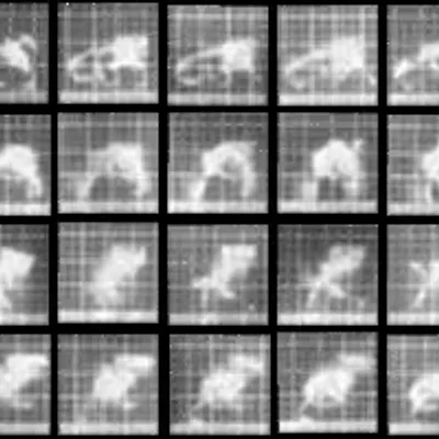 Chronophotograph 39