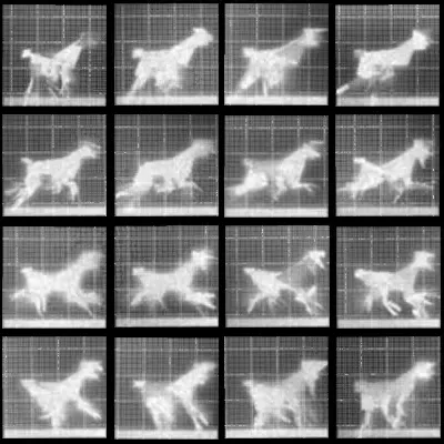 Chronophotograph 53