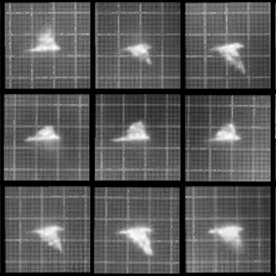 Chronophotograph 56