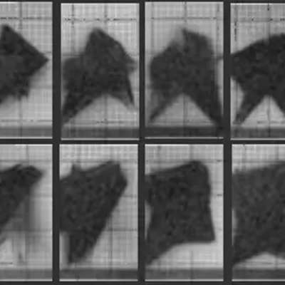 Chronophotograph 57
